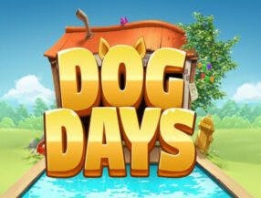 jogo de avi찾o online