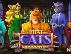 fox bet online betting
