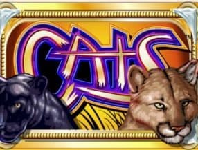 Evobet Casino